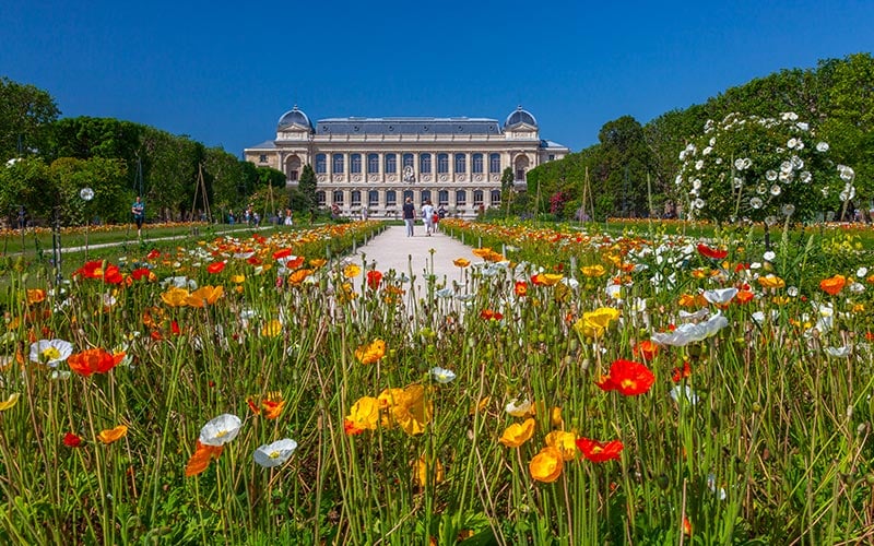 Jardin des Plantes, Grande Galerie de l'évolution