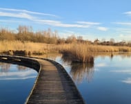 Chasseur immobilier  – achat immobilier exclusif