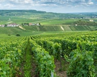 Chasseur immobilier  – achat immobilier exclusif