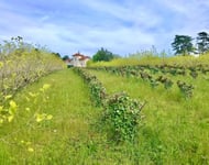 Chasseur immobilier  – achat immobilier exclusif