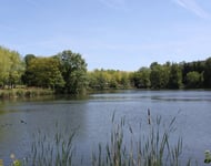 Chasseur immobilier  – achat immobilier exclusif