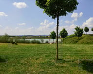 Chasseur immobilier  – achat immobilier exclusif