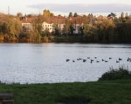 Chasseur immobilier  – achat immobilier exclusif
