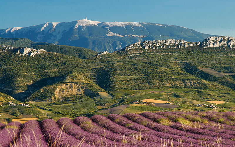 Paysage sur le Mont Ventoux