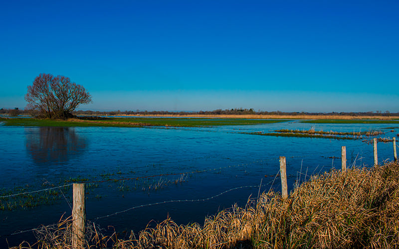 Les marais de Challans
