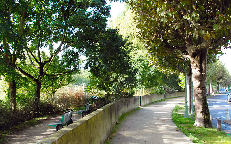 Chemin de promenade en bords de Marne à Champigny-sur-Marne