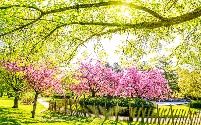 Parc du Tremblay à Champigny-sur-Marne