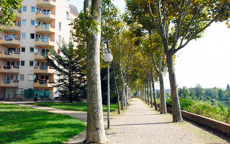 Promenade sur les bords de Marne à Créteil