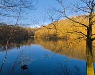 Chasseur immobilier  – achat immobilier exclusif