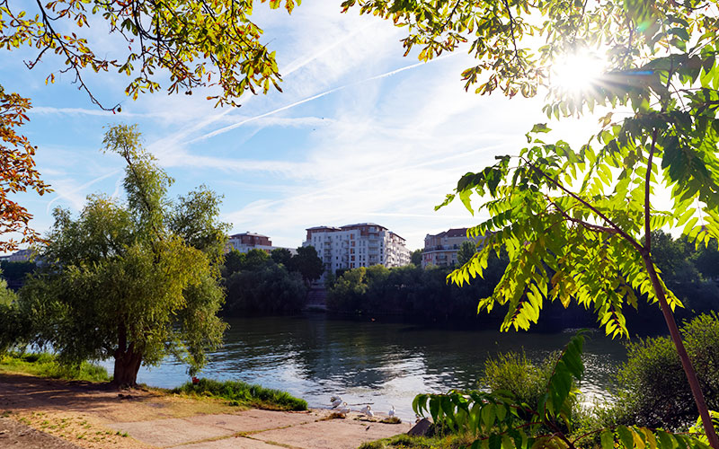 Bords de Seine  à Ivry-sur-Seine