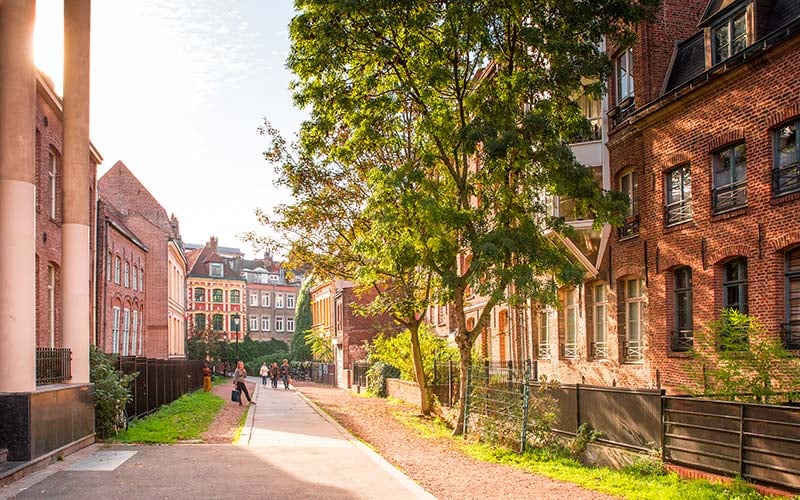 Maisons de briques rouges à Lille