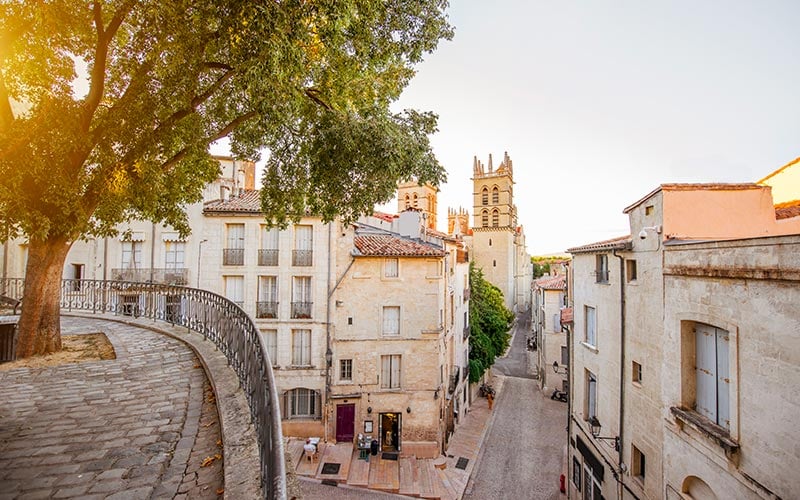 Vue sur la faculté de médecine de Montpellier