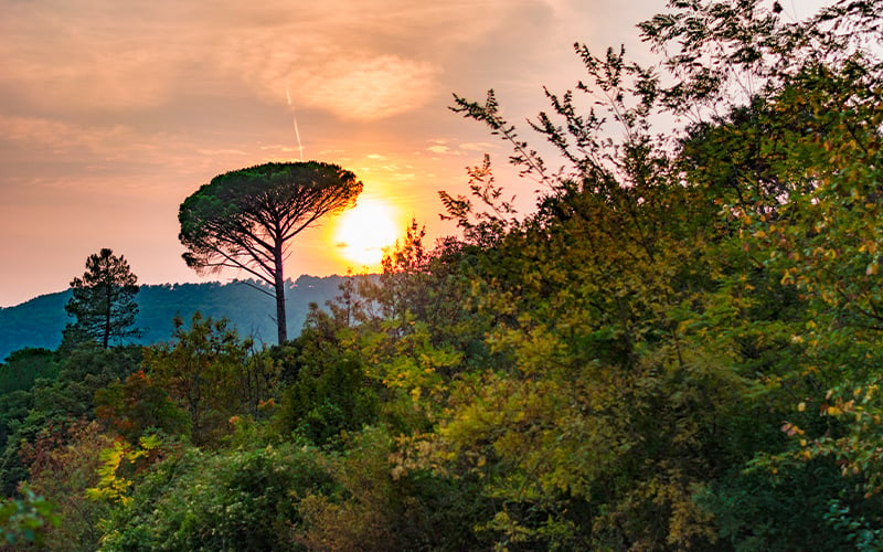 Coucher de soleil à Plan de la Tour