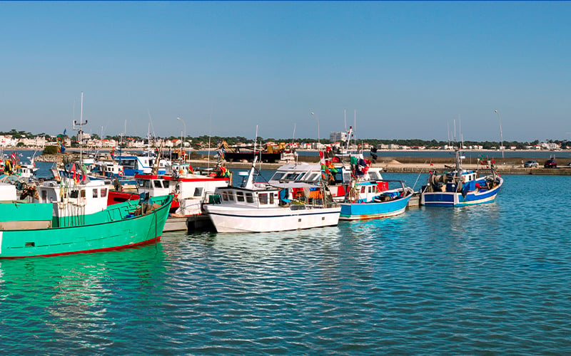 Le port de Royan