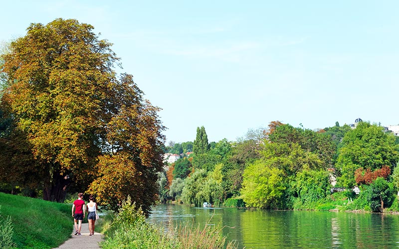 Réserve naturelle départementale des îles de la Marne à Saint-Maur-des-Fossés