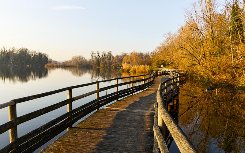 Lacs de Viry-Châtillon et Grigny