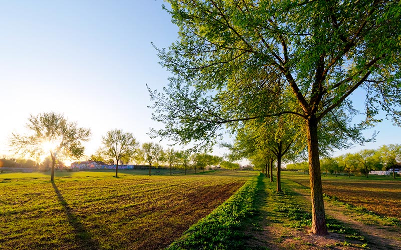 Parc Départemental des Lilas à Vitry-sur-Seine