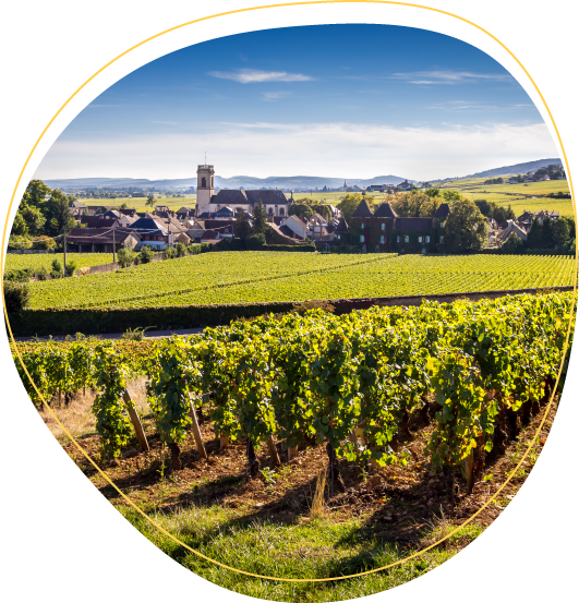 toutes_les_regions