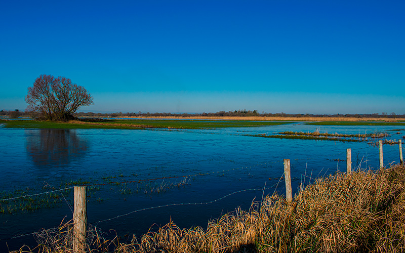 Les marais de Challans