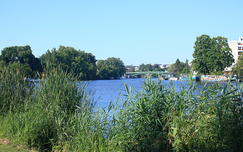 Vue sur le lac de Saint-Philbert-de-Grand-Lieu