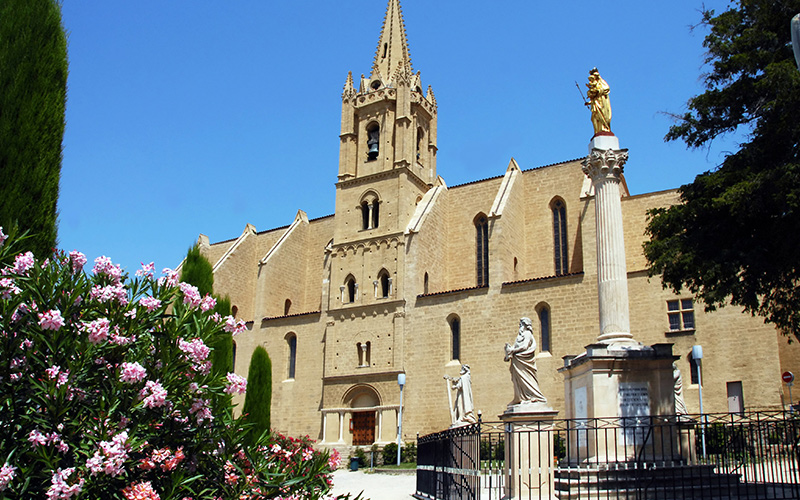 Collégiale Saint Laurent à Salon-de-Provence